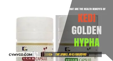 Unlocking Wellness: The Surprising Health Benefits of Kedi Golden Hypha