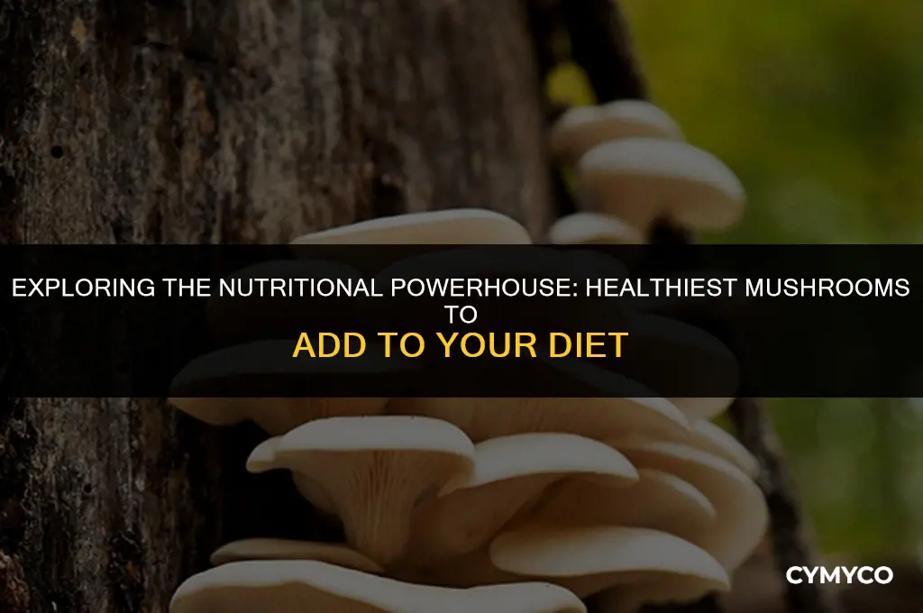 what are the healthiest mushrooms to buy