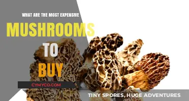 Exploring the Priciest Fungi: A Guide to Expensive Mushrooms