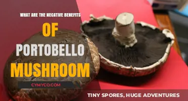 Exploring the Lesser-Known Side Effects of Portobello Mushrooms