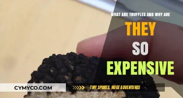 Unveiling the Mystery: Why Truffles Command a Premium Price