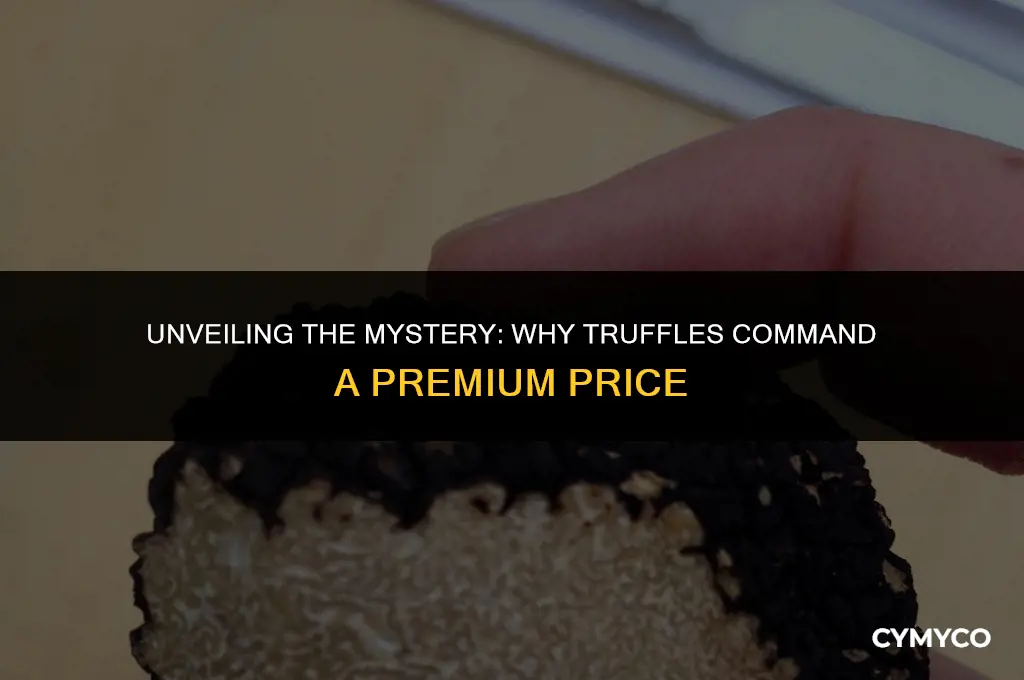 what are truffles and why are they so expensive