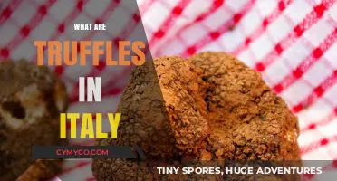 Unveiling the Culinary Delight: Truffles in Italy