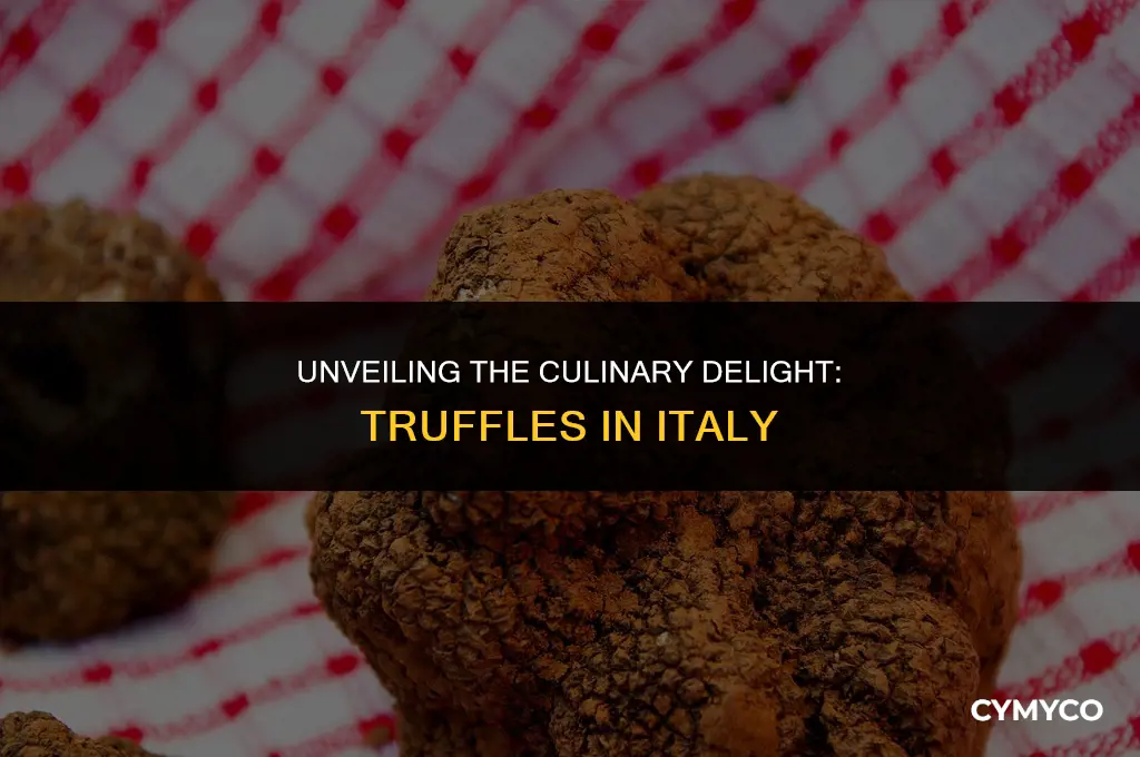 what are truffles in italy