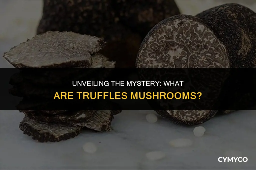 what are truffles mushrooms