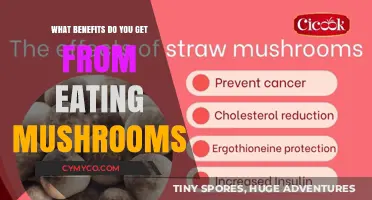 Unlocking Nature's Powerhouse: The Surprising Benefits of Mushrooms