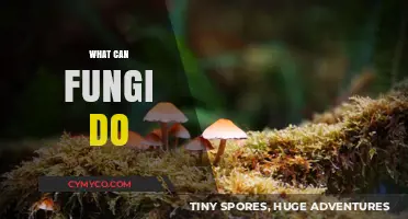 Unlocking Nature's Secrets: The Astonishing Abilities of Fungi