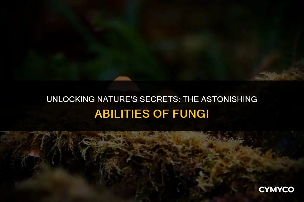 what can fungi do