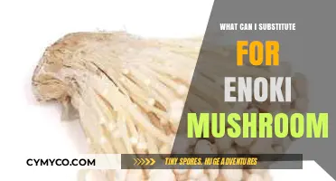 Exploring Flavorful Alternatives to Enoki Mushrooms in Your Recipes