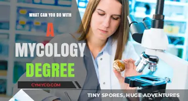 Exploring Career Paths: The Versatility of a Mycology Degree