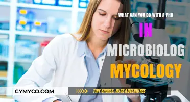 Exploring Career Paths: What Can You Do with a PhD in Microbiology or Mycology?