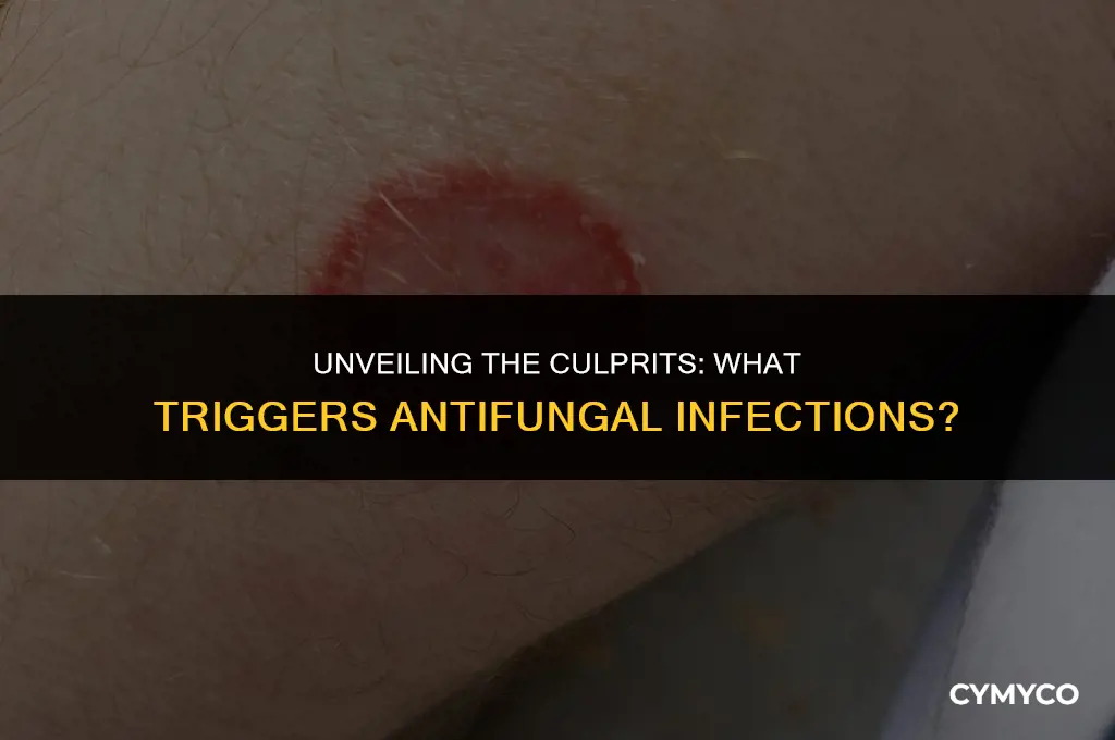 what causes antifungal infections