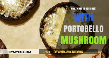 Savor the Flavor: Perfect Cheese Pairings for Portobello Mushrooms