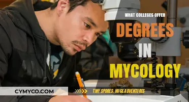 Exploring the Fascinating World of Mycology: Top Colleges Offering Degrees
