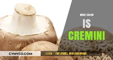 Exploring the Earthy Tones of Cremini Mushrooms: A Culinary Guide