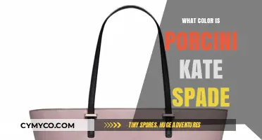 Exploring the Rich Hue of Porcini Kate Spade Handbags