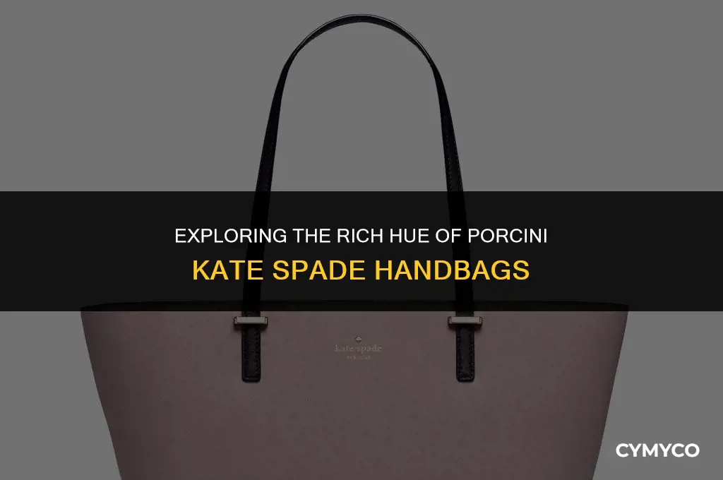 what color is porcini kate spade