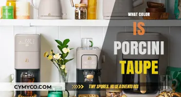 Exploring the Richness of Porcini Taupe: A Colorful Journey