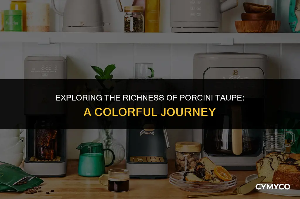 what color is porcini taupe