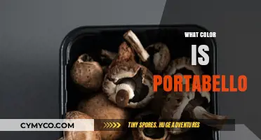 Exploring the Natural Hue of Portobello Mushrooms: A Color Guide