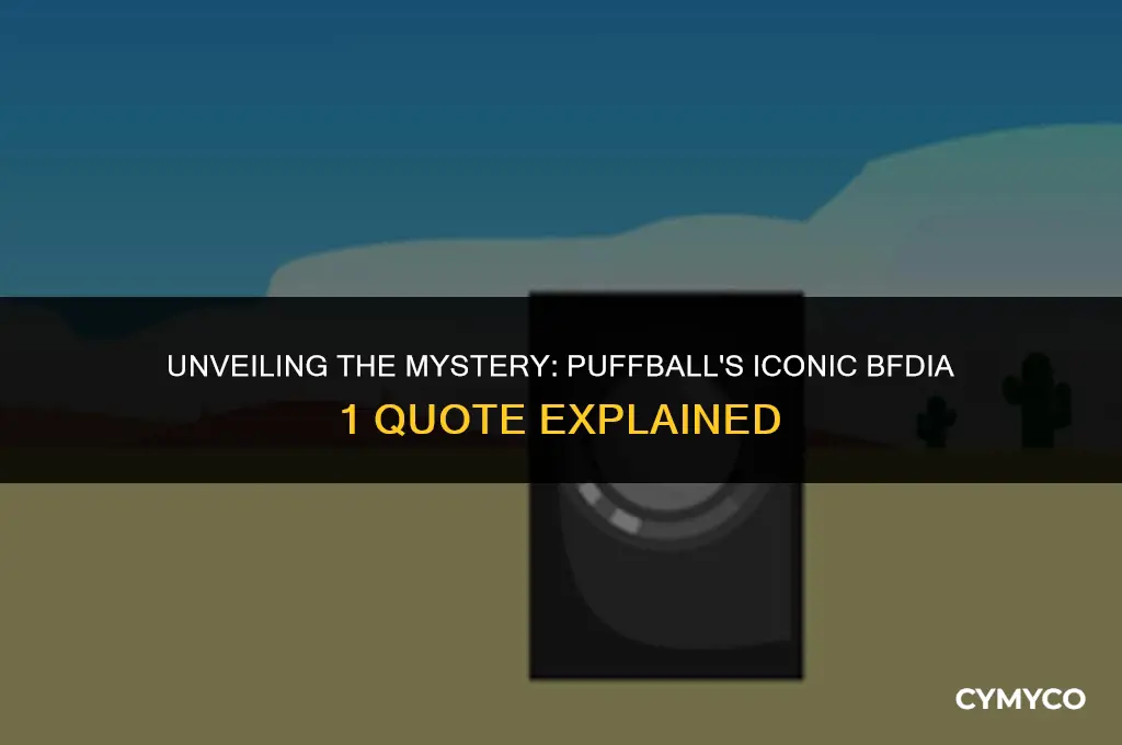 what did puffball say actually in bfdia 1