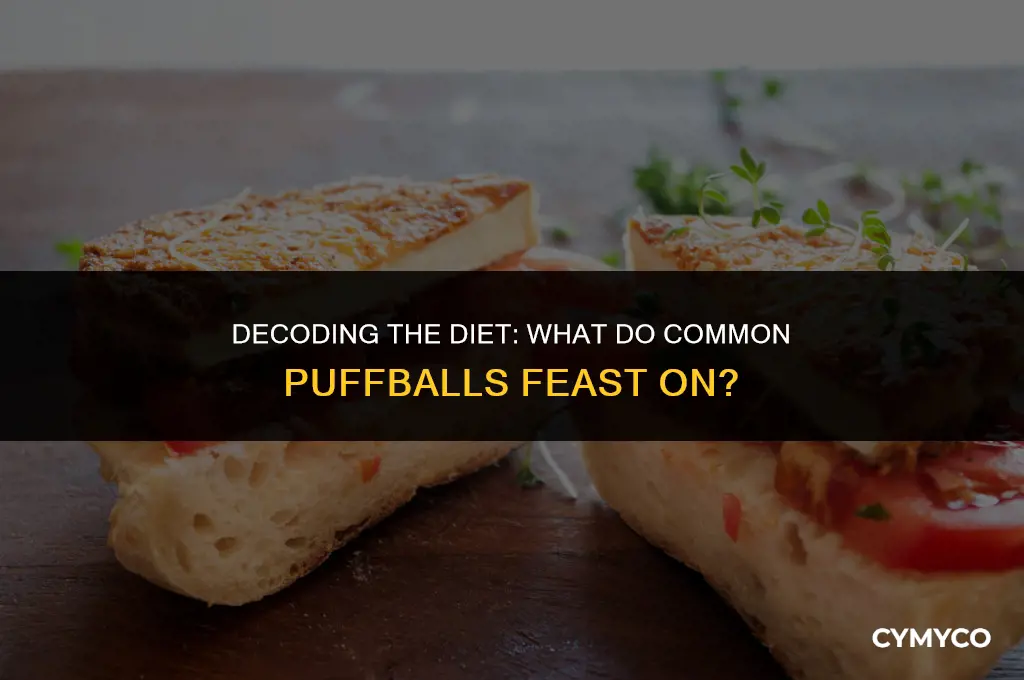 what do common puffballs eat