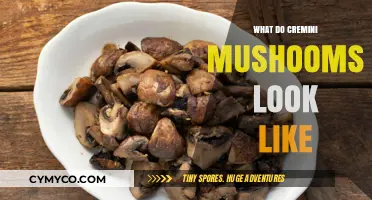 Exploring the Appearance of Cremini Mushrooms: A Visual Guide