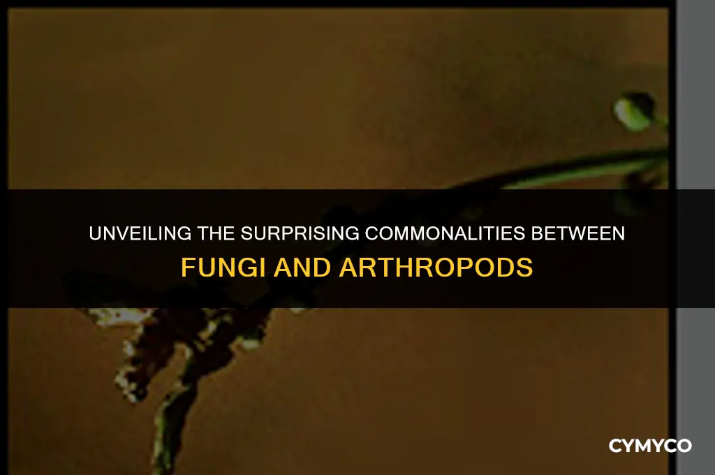 what do fungi and arthropods have in common