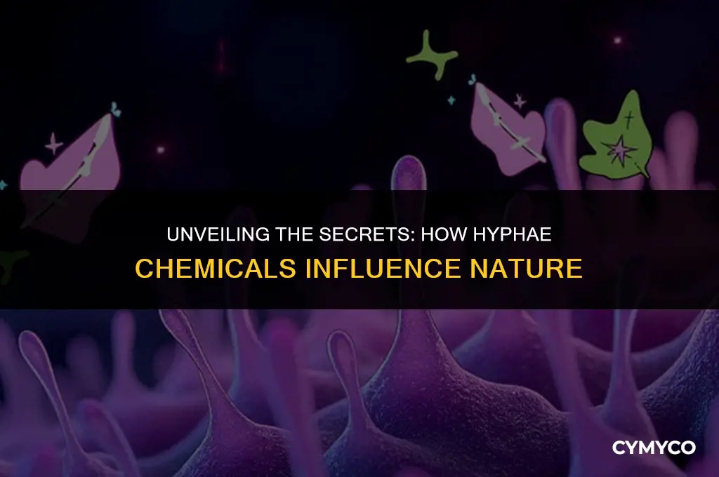 what do hyphae chemicals do