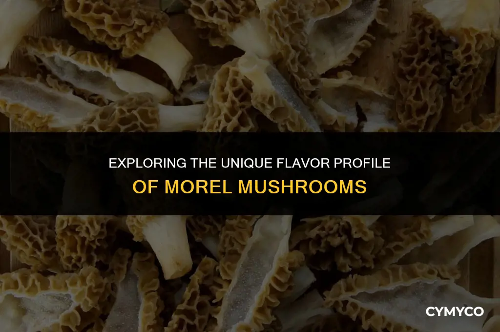 what do morels taste like