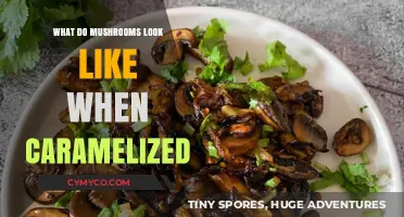 Savoring the Richness: Caramelized Mushrooms' Irresistible Transformation
