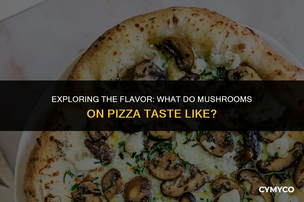 what do mushrooms on pizza taste like