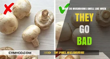 Decoding the Funky Aroma: How Mushrooms Signal Spoilage