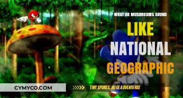 Exploring the Sonic World of Mushrooms: A National Geographic Journey