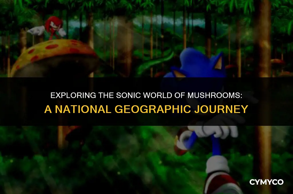 what do mushrooms sound like national geographic