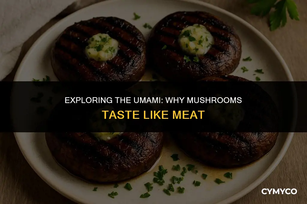 what do mushrooms taste like meat