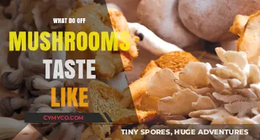 Exploring the Unique Flavor Profile of Off Mushrooms: A Tasting Guide