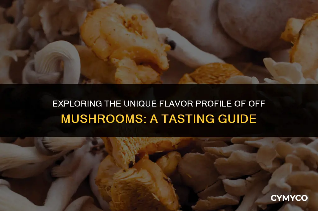 what do off mushrooms taste like