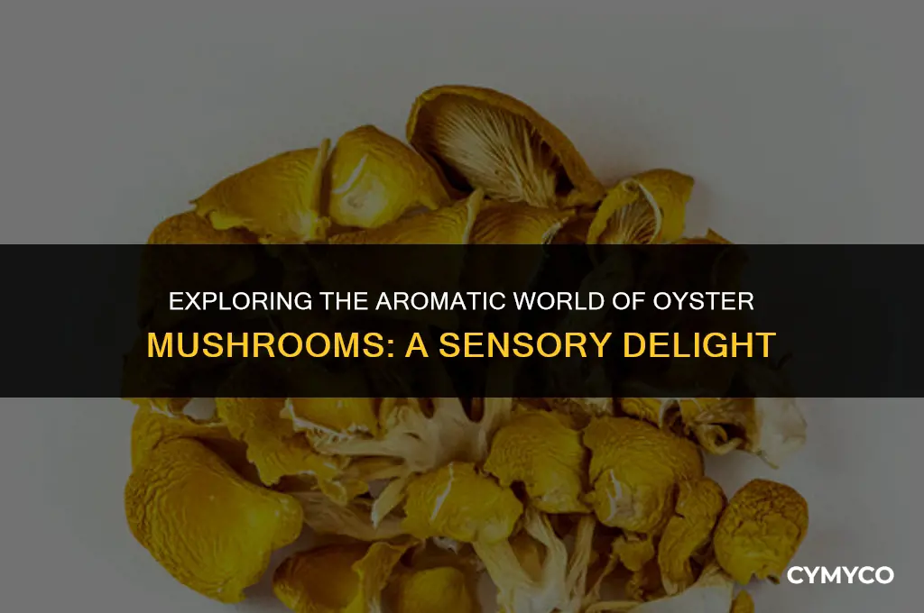 what do oyster mushrooms smell like
