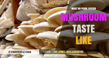 Exploring the Flavor Profile of Pearl Oyster Mushrooms