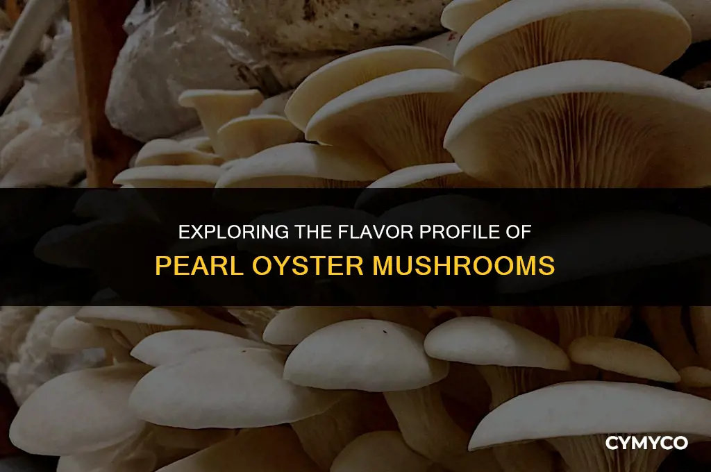 what do pearl oyster mushrooms taste like