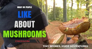 Exploring the Fascination: What Draws People to Mushrooms?