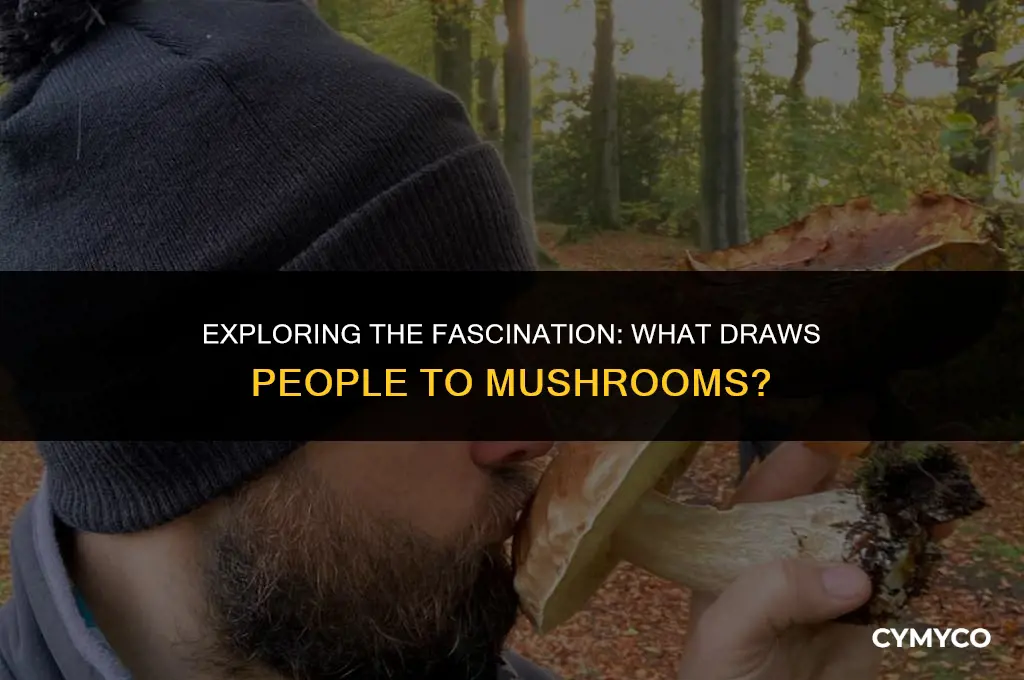 what do people like about mushrooms