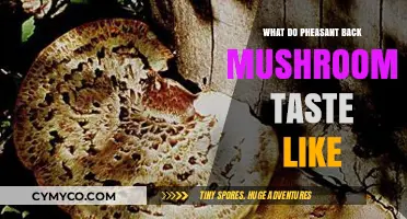 Exploring the Flavor Profile of Pheasant Back Mushrooms