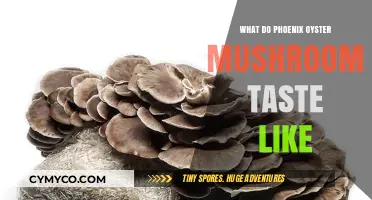 Unveiling the Flavor: A Guide to Phoenix Oyster Mushrooms