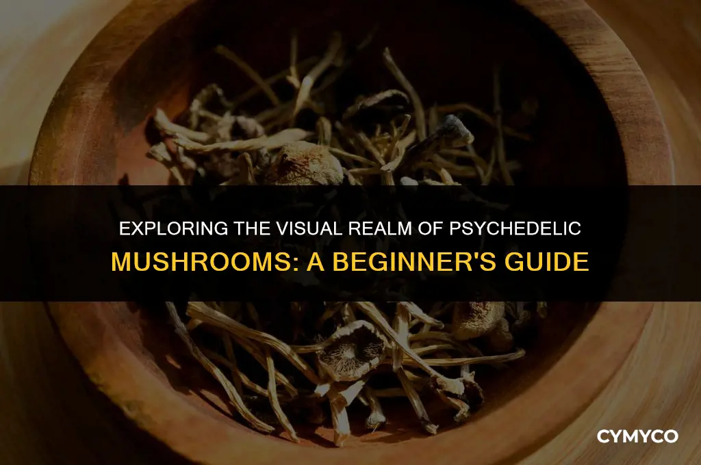 what do phycodelic mushrooms look like