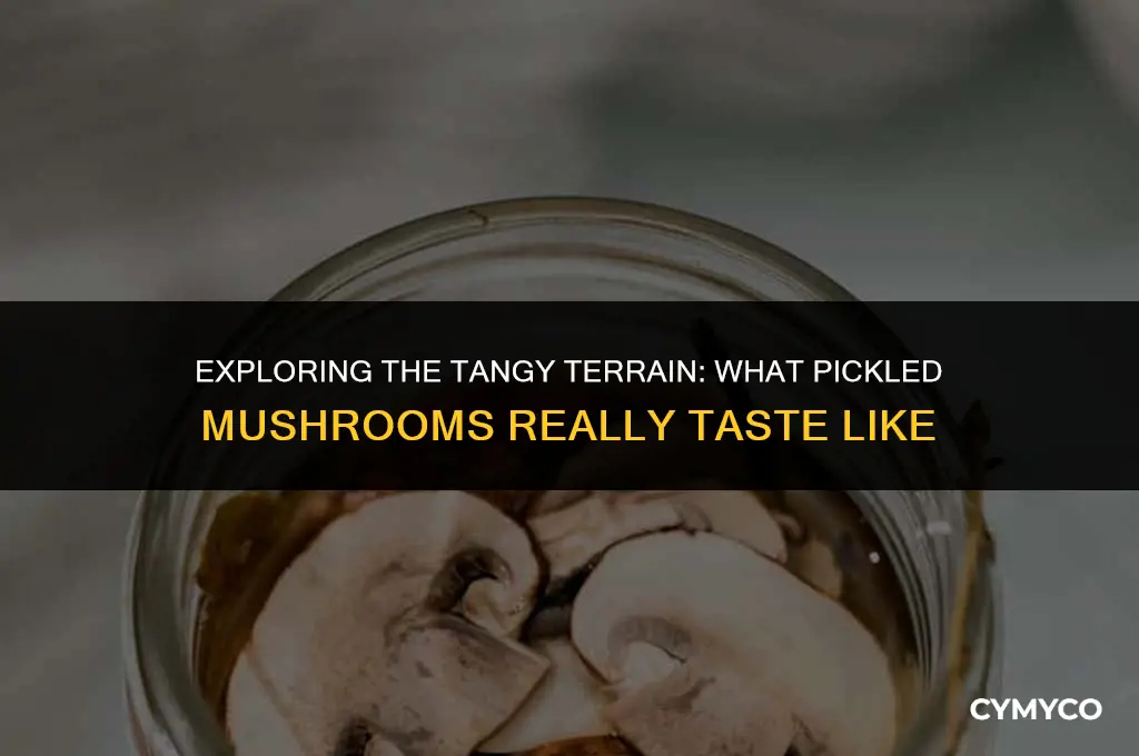 what do pickled mushrooms taste like
