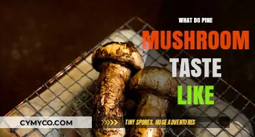 Exploring the Flavor Profile of Pine Mushrooms: A Culinary Journey