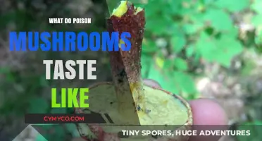 Exploring the Deceptive Flavors of Poisonous Mushrooms: A Taste Test