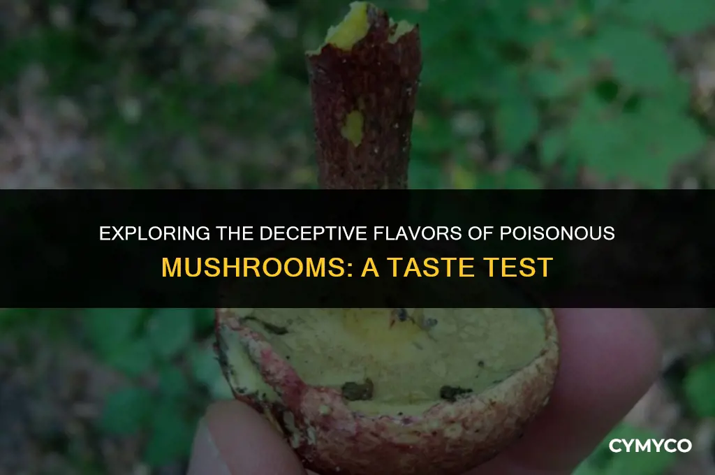 what do poison mushrooms taste like